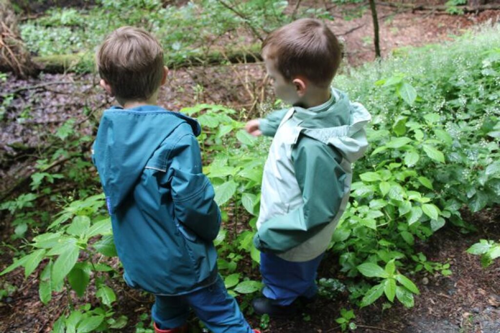 Kinder im Wald.